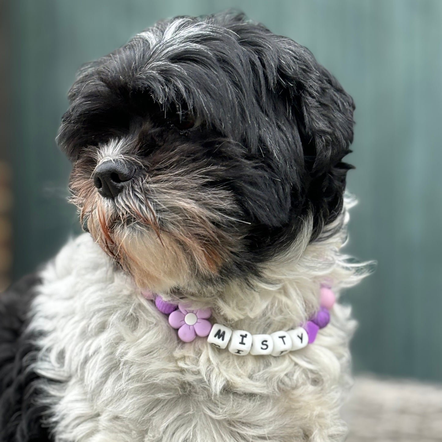 Kralen halsband ketting met naam voor hond of kat