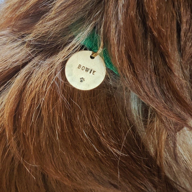Katten penning: Extra klein: 19 mm! GRATIS VERZENDEN