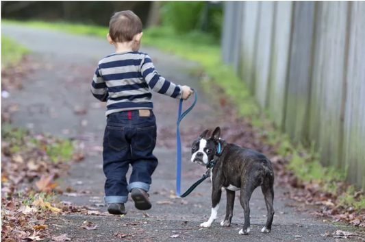 Beste huisdieren voor jonge kinderen