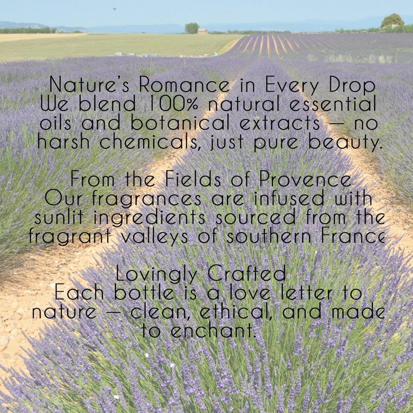 She Flutters Handcrafted Musk Perfume: Ethereal Butterfly-Inspired Soft Skin Scent