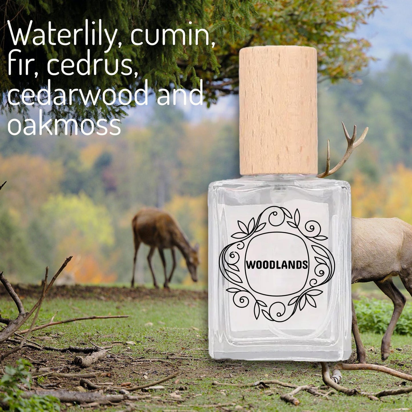 Handcrafted Forest Walk Fragrance | Cedarwood, Fir & Oakmoss Perfume | Nature-Inspired Woodland Scent