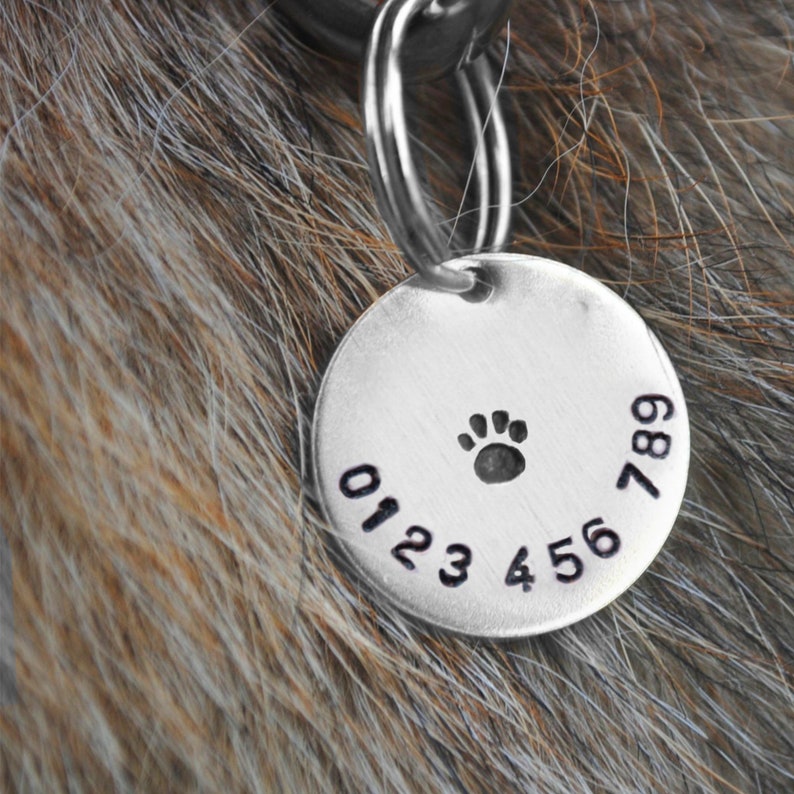 Dierenpenning met naam met bos/sterren ontwerp